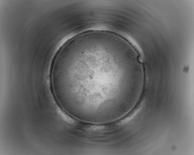 X0000102380845200808011535
