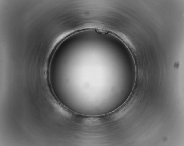 X0000102380846200808011535