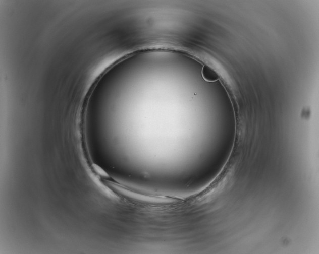 X0000102380847200808011535