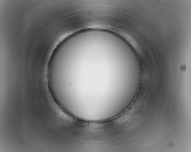X0000102380848200808011535
