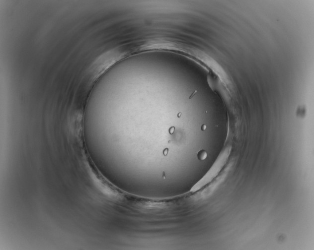 X0000102380849200808011535