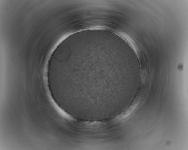 X0000102380851200808011535