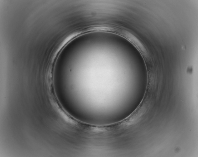 X0000102380852200808011535