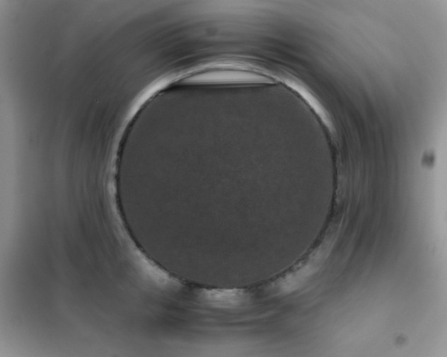 X0000102380853200808011535