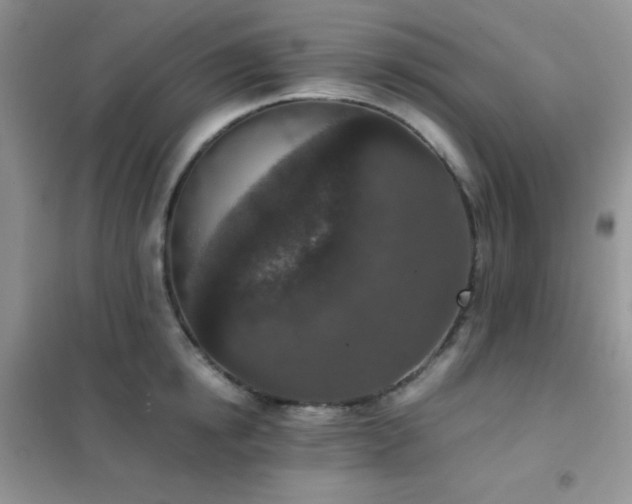 X0000102380854200808011535