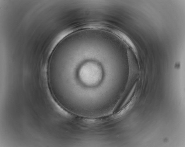 X0000102380855200808011535