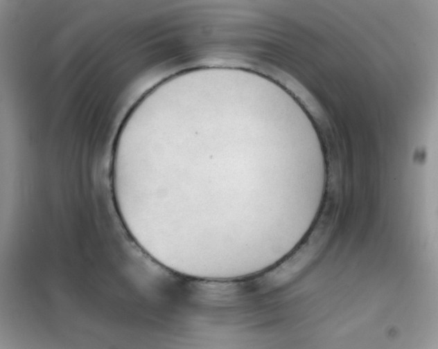 X0000102380856200808011535