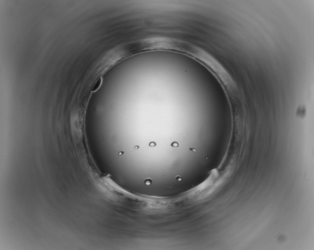 X0000102380857200808011535