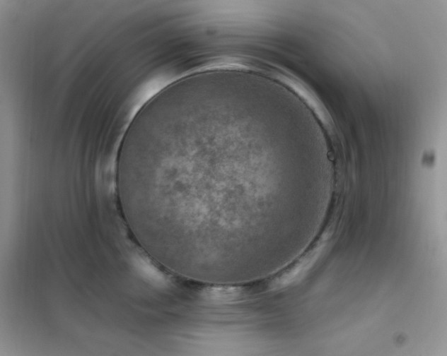 X0000102380858200808011535