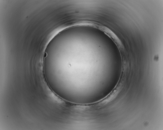 X0000102380860200808011535