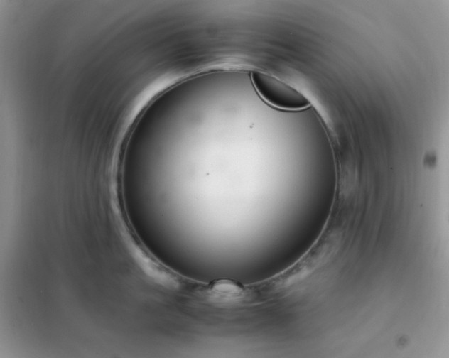 X0000102380861200808011535