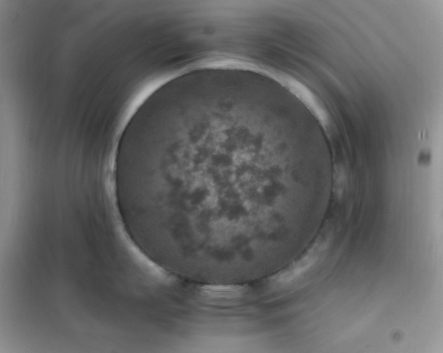 X0000102380863200808011535