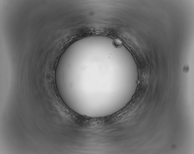 X0000102380865200808011534