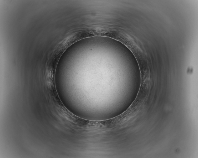 X0000102380866200808011534