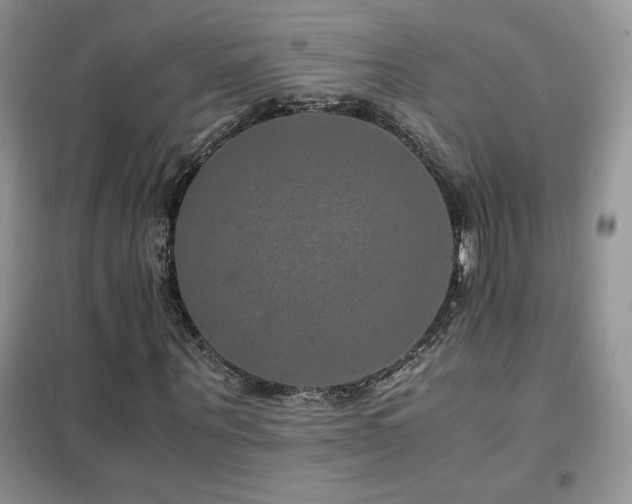 X0000102380867200808011534