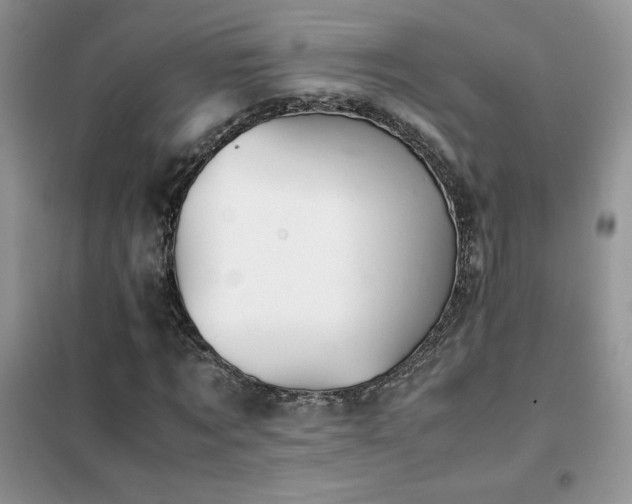 X0000102380869200808011534
