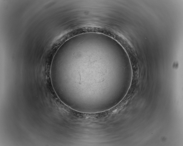 X0000102380870200808011534