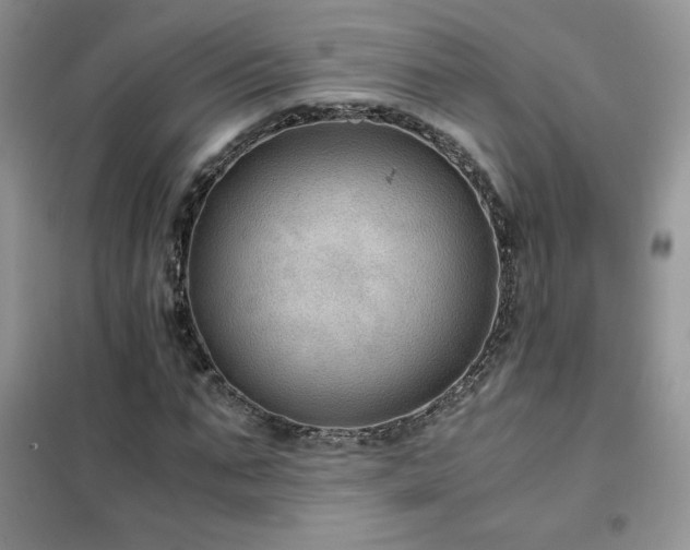 X0000102380871200808011534