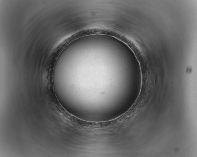 X0000102380872200808011534