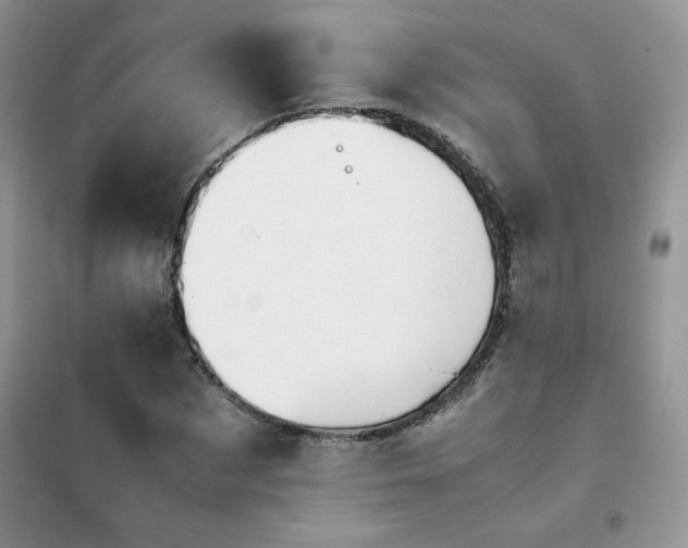 X0000102380873200808011534