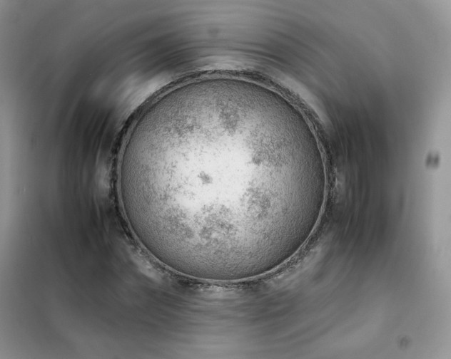 X0000102380874200808011534