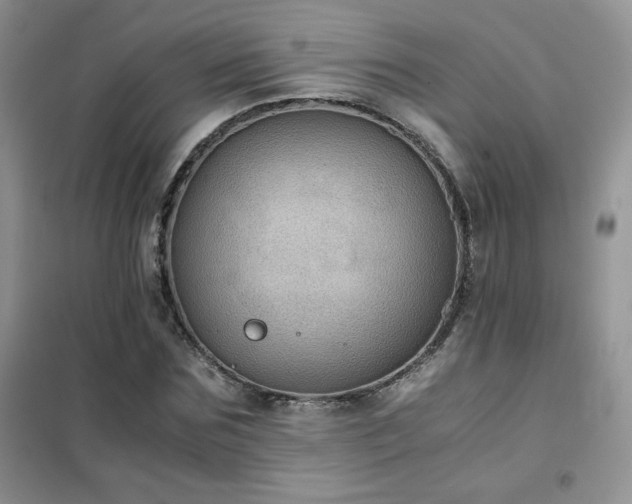 X0000102380875200808011534