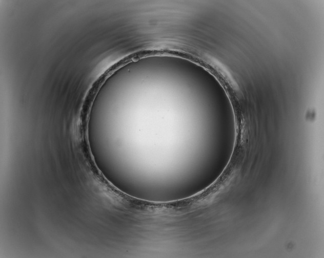 X0000102380876200808011534