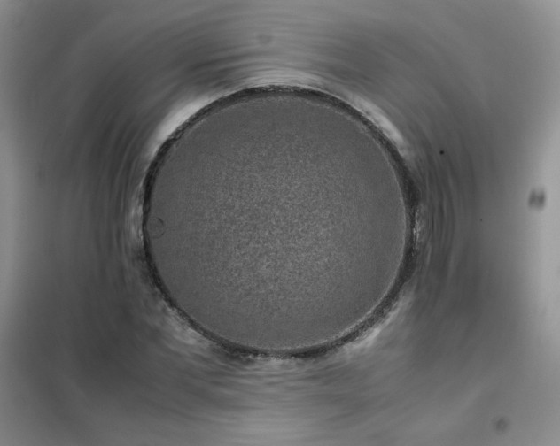 X0000102380877200808011534