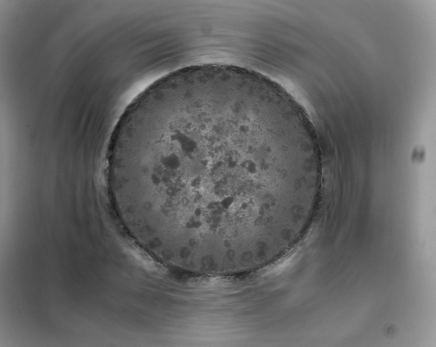 X0000102380879200808011534
