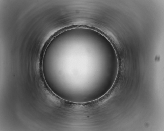 X0000102380880200808011534