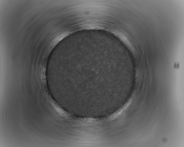 X0000102380881200808011534