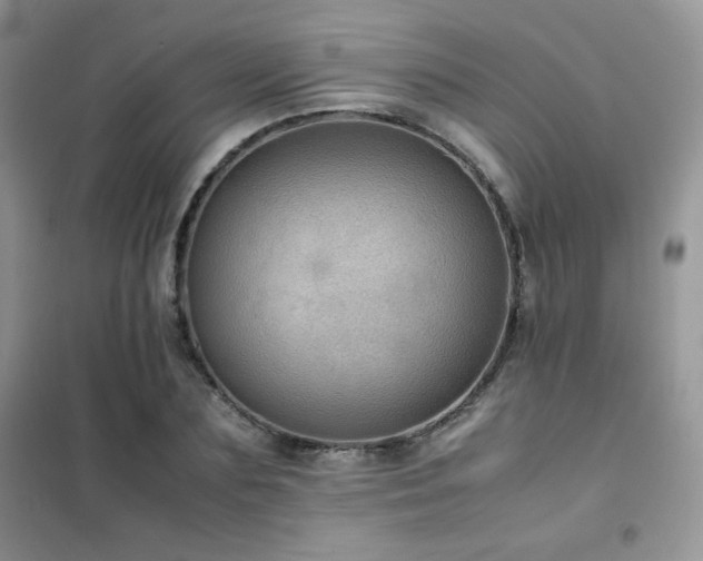 X0000102380883200808011534