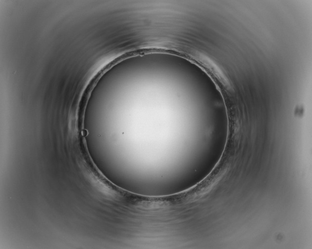 X0000102380884200808011534