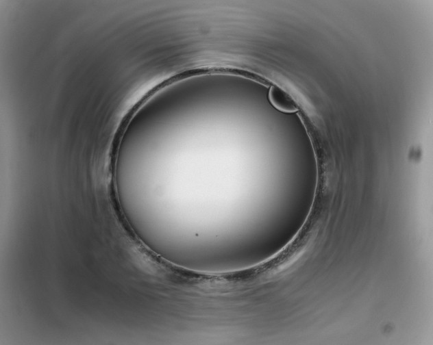 X0000102380885200808011534