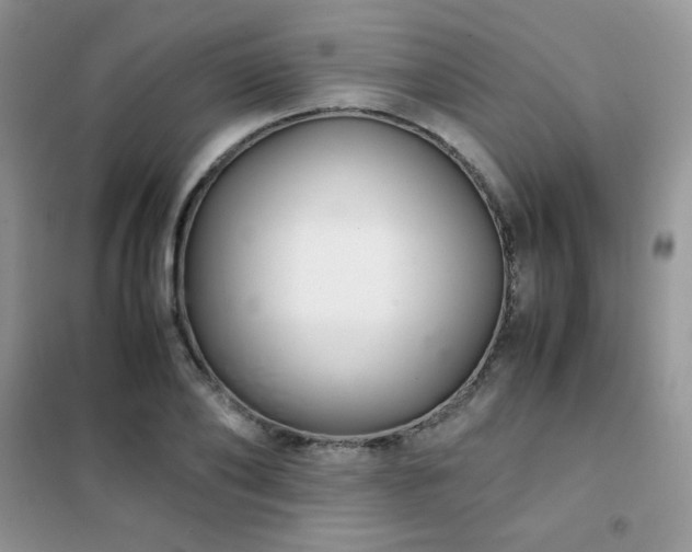 X0000102380886200808011534