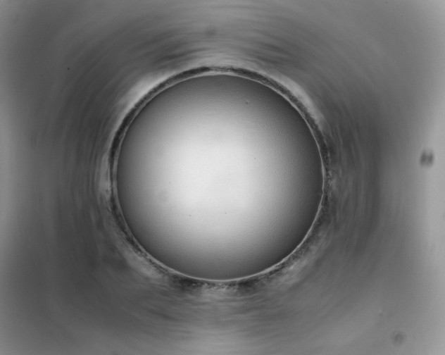 X0000102380887200808011534