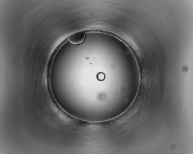 X0000102380888200808011534