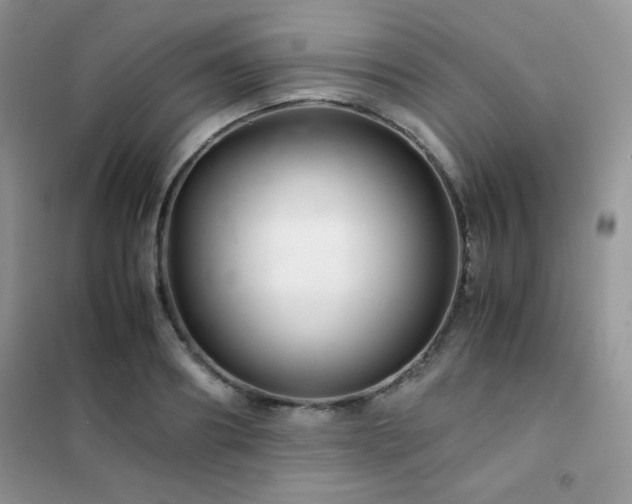 X0000102380890200808011534