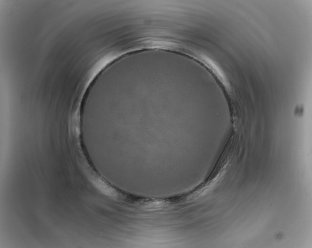 X0000102380891200808011534