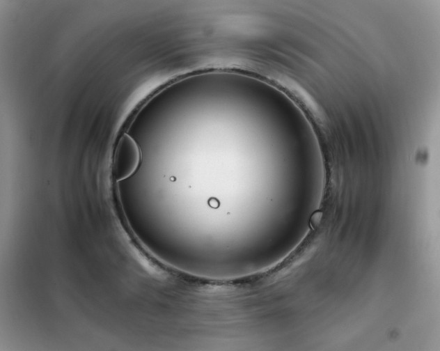 X0000102380894200808011534