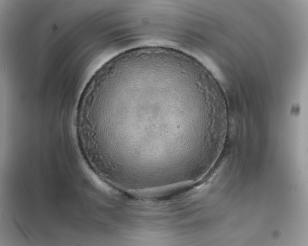 X0000102380895200808011534