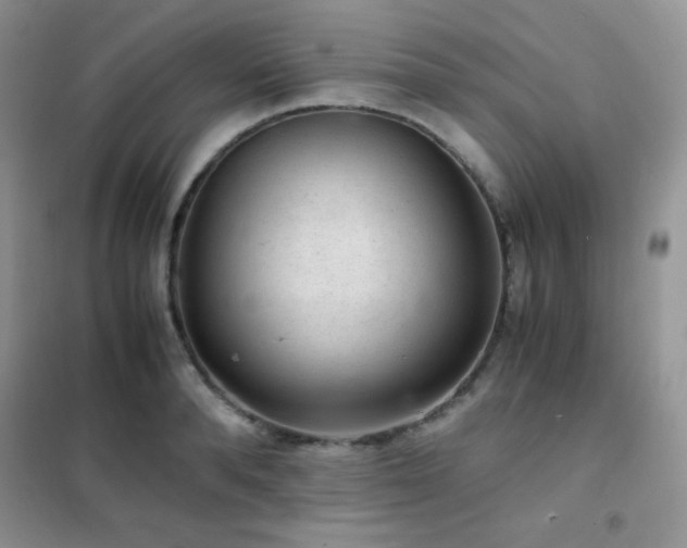 X0000102380896200808011534