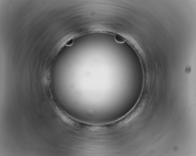 X0000102380897200808011534