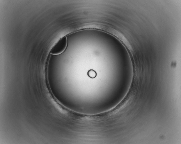 X0000102380898200808011534
