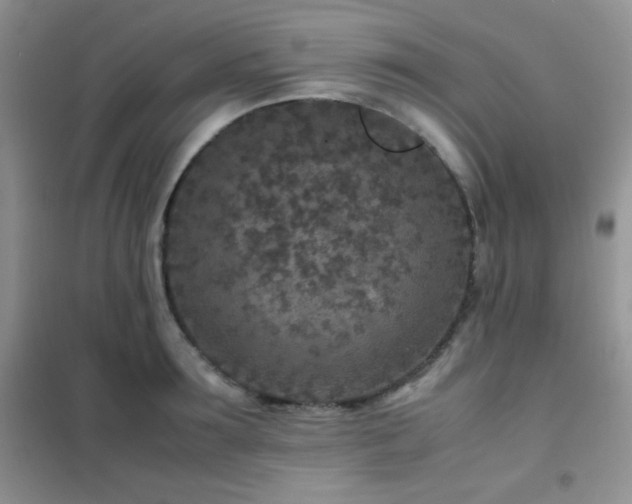 X0000102380899200808011534