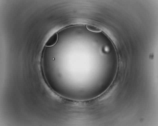 X0000102380901200808011534