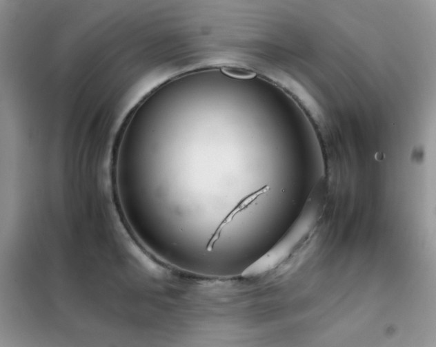 X0000102380902200808011534