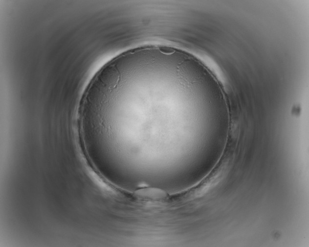 X0000102380903200808011534