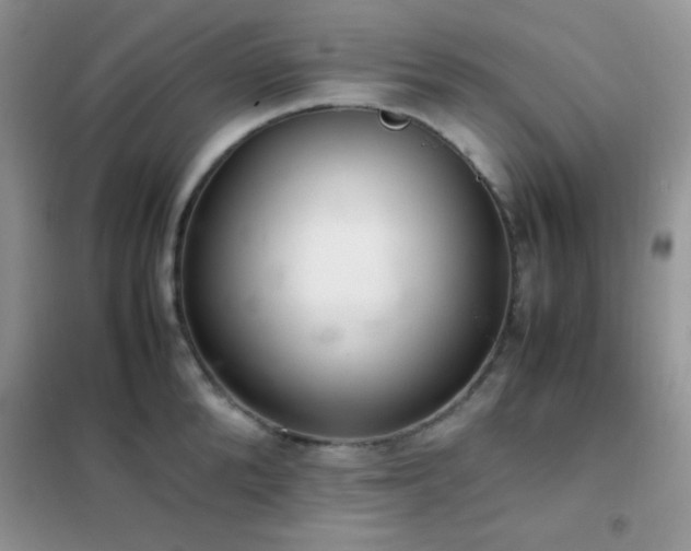 X0000102380904200808011534