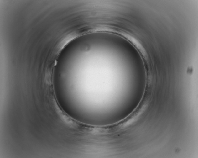 X0000102380905200808011534